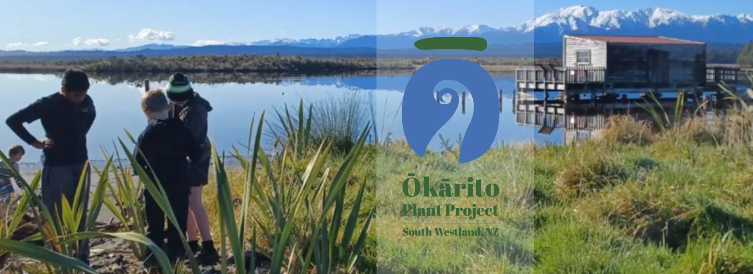 okarito banner thl